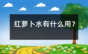 紅蘿卜水有什么用？
