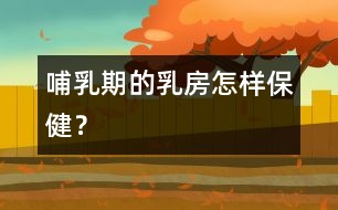 哺乳期的乳房怎樣保??？
