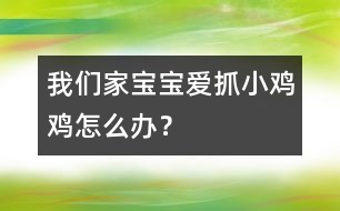 我們家寶寶愛抓小雞雞怎么辦？