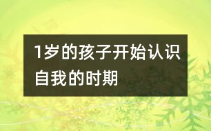 1歲的孩子開(kāi)始認(rèn)識(shí)自我的時(shí)期