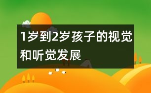 1歲到2歲孩子的視覺和聽覺發(fā)展