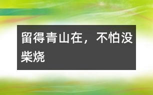 留得青山在，不怕沒柴燒