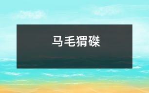 馬毛猬磔