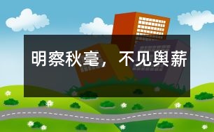 明察秋毫，不見輿薪