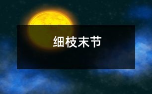 細(xì)枝末節(jié)