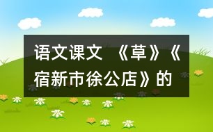語文課文  《草》、《宿新市徐公店》的教學設計與教學反思