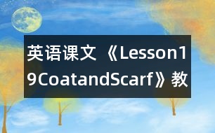 英語課文 《Lesson19CoatandScarf》教案 教學(xué)資料 教學(xué)設(shè)計(jì)