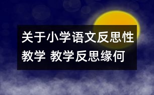關于小學語文反思性教學 教學反思緣何起？