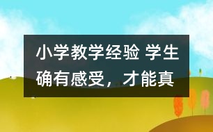 小學教學經(jīng)驗 學生確有“感受”，才能真正“理解”