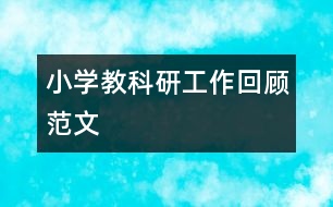 小學(xué)教科研工作回顧范文