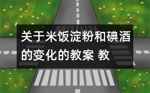 關(guān)于米飯、淀粉和碘酒的變化的教案 教學(xué)設(shè)計(jì)  新教科版六年級(jí)下冊(cè)科學(xué)教案