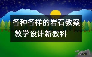 各種各樣的巖石教案 教學(xué)設(shè)計(jì)—新教科版四年級(jí)下冊科學(xué)教案