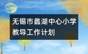 無錫市蠡湖中心小學教導工作計劃