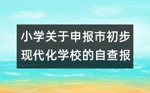 小學關于申報市初步現代化學校的自查報告