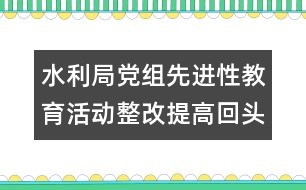 水利局黨組先進(jìn)性教育活動(dòng)整改提高回頭看自查報(bào)告