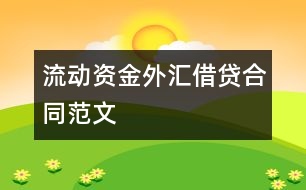 流動資金外匯借貸合同范文