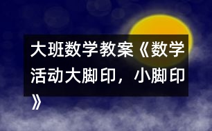 大班數(shù)學教案《數(shù)學活動大腳印，小腳印》反思