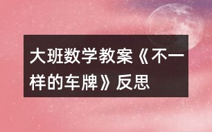 大班數(shù)學教案《不一樣的車牌》反思