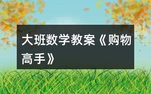 大班數(shù)學教案《購物高手》