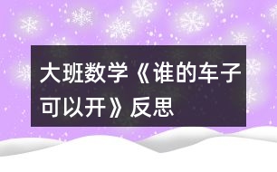 大班數(shù)學(xué)《誰的車子可以開》反思