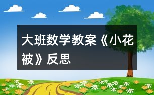 大班數學教案《小花被》反思