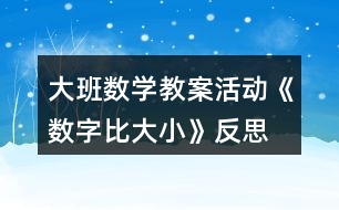 大班數(shù)學(xué)教案活動(dòng)《數(shù)字比大小》反思