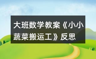 大班數(shù)學教案《小小蔬菜搬運工》反思