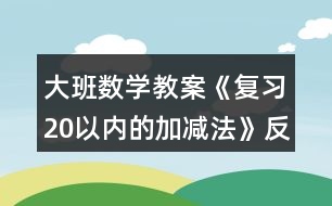 大班數(shù)學(xué)教案《復(fù)習20以內(nèi)的加減法》反思