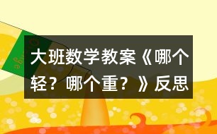 大班數(shù)學(xué)教案《哪個輕？哪個重？》反思