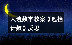 大班數(shù)學教案《遮擋計數(shù)》反思