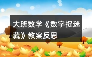 大班數(shù)學《數(shù)字捉迷藏》教案反思