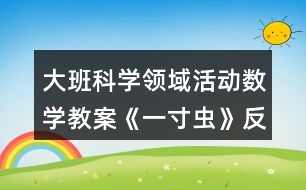 大班科學領域活動數(shù)學教案《一寸蟲》反思