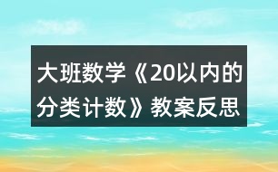 大班數(shù)學《20以內(nèi)的分類計數(shù)》教案反思