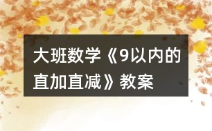 大班數(shù)學《9以內的直加直減》教案