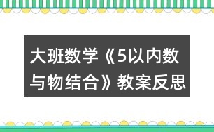 大班數(shù)學《5以內數(shù)與物結合》教案反思