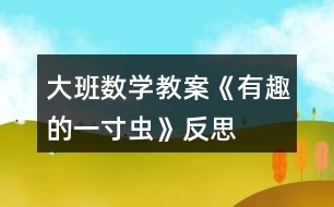 大班數(shù)學教案《有趣的一寸蟲》反思