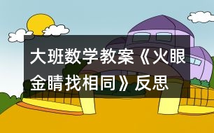 大班數(shù)學教案《火眼金睛找相同》反思