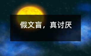 假文盲，真討厭