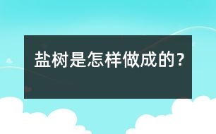 鹽樹是怎樣做成的？