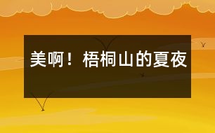 美??！梧桐山的夏夜