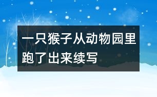 一只猴子從動(dòng)物園里跑了出來（續(xù)寫）