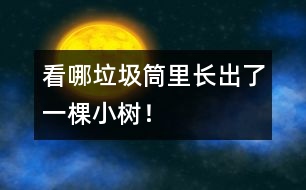 看哪垃圾筒里長出了一棵小樹！