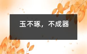 玉不琢，不成器