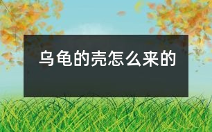 烏龜?shù)臍ぴ趺磥?lái)的