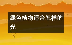 綠色植物適合怎樣的光