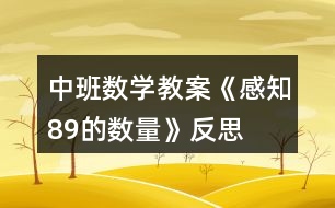 中班數(shù)學(xué)教案《感知8、9的數(shù)量》反思