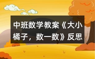 中班數(shù)學(xué)教案《大小橘子，數(shù)一數(shù)》反思