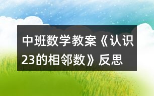 中班數(shù)學(xué)教案《認(rèn)識2、3的相鄰數(shù)》反思