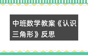 中班數(shù)學(xué)教案《認識三角形》反思