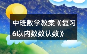 中班數(shù)學(xué)教案《復(fù)習(xí)6以內(nèi)數(shù)數(shù)、認數(shù)》反思